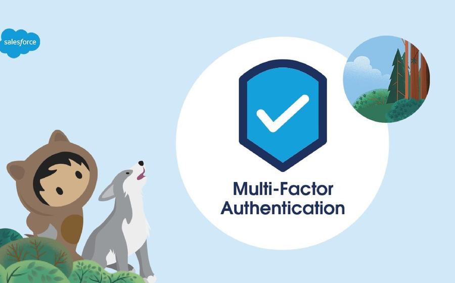 6300e4143b1b4d2e31b7e21c Salesforce Multi Factor Authentication Featured Image pdf