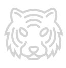 tiger team