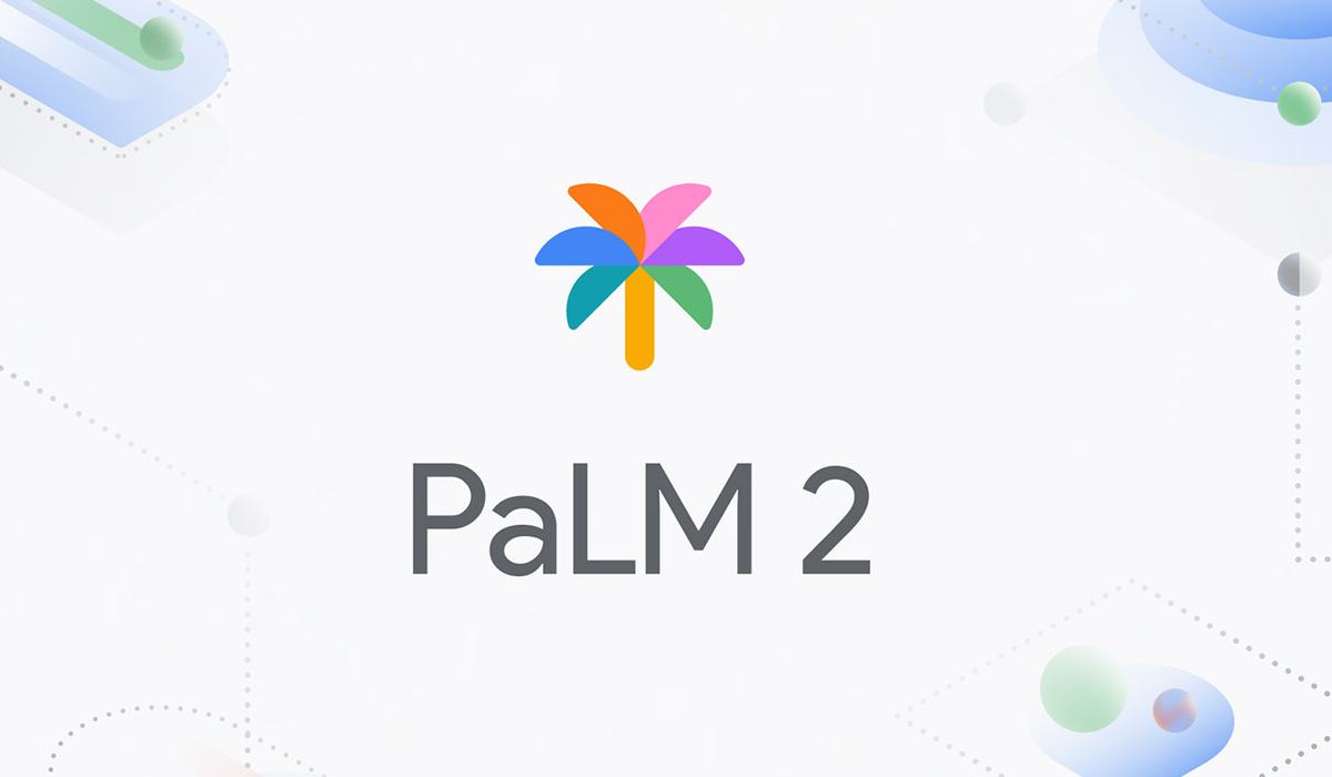 64f9795dccad483ccbcce1f0 palm2