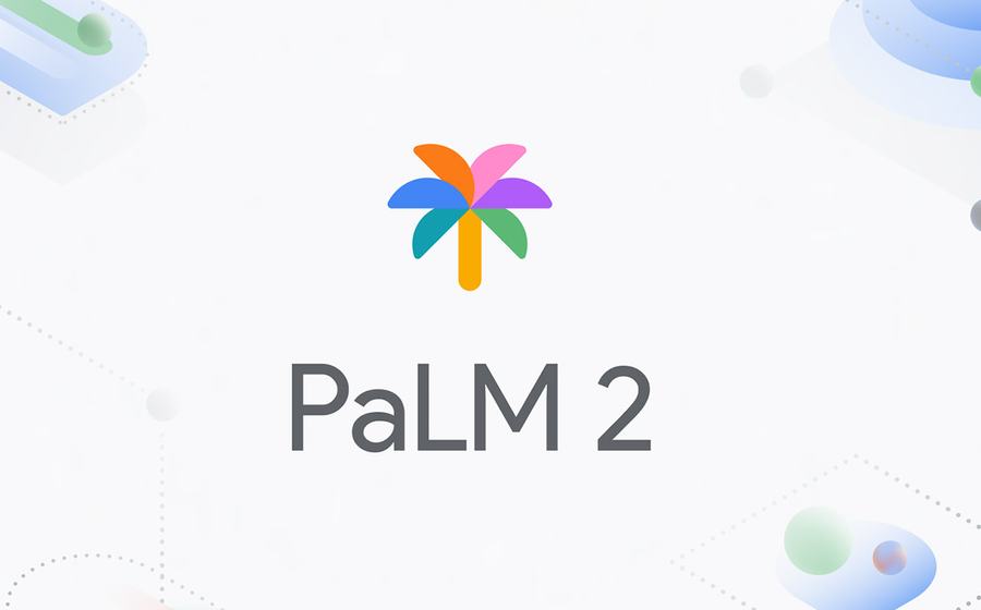 64f9795dccad483ccbcce1f0 palm2