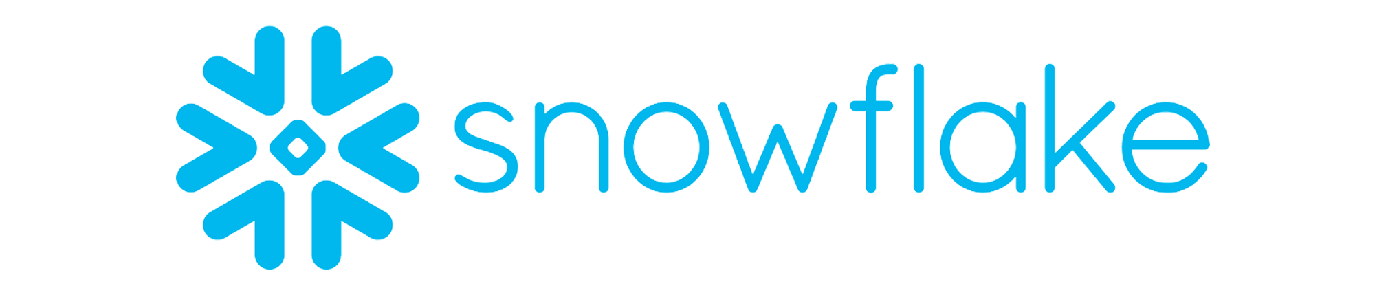 Imported static asset: vendor/webflow/images/snowflake_1.png